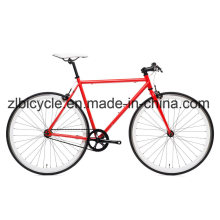 Fixie Bicycle Lifestyle Hi-Tensile Steel Single Speed Fixed Gear Bike